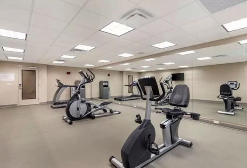 酒店 Sleep Inn Lancaster Dallas South