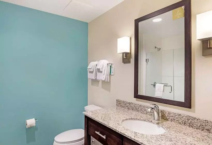 ホテル Sleep Inn Lancaster Dallas South