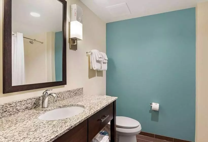 ホテル Sleep Inn Lancaster Dallas South