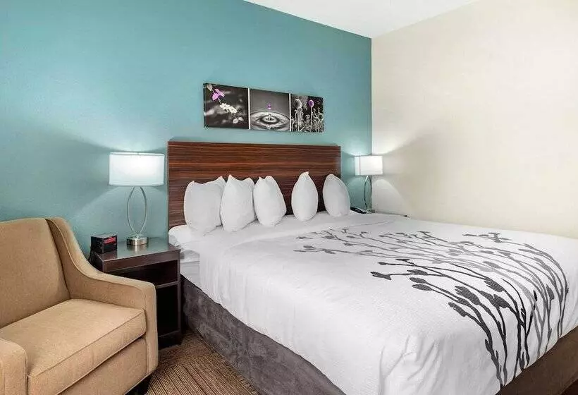 ホテル Sleep Inn Lancaster Dallas South