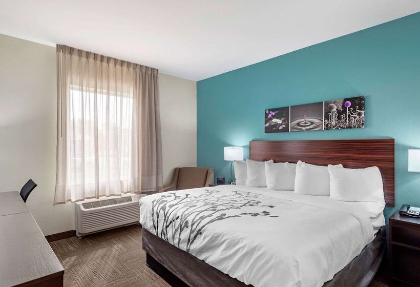 酒店 Sleep Inn Lancaster Dallas South