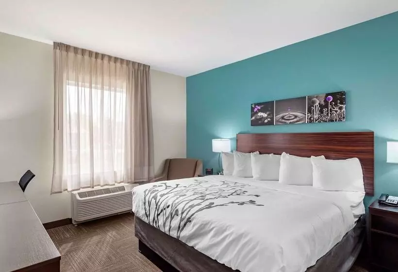 ホテル Sleep Inn Lancaster Dallas South