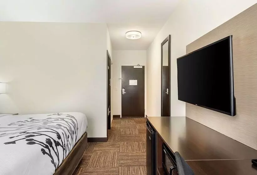 ホテル Sleep Inn Lancaster Dallas South