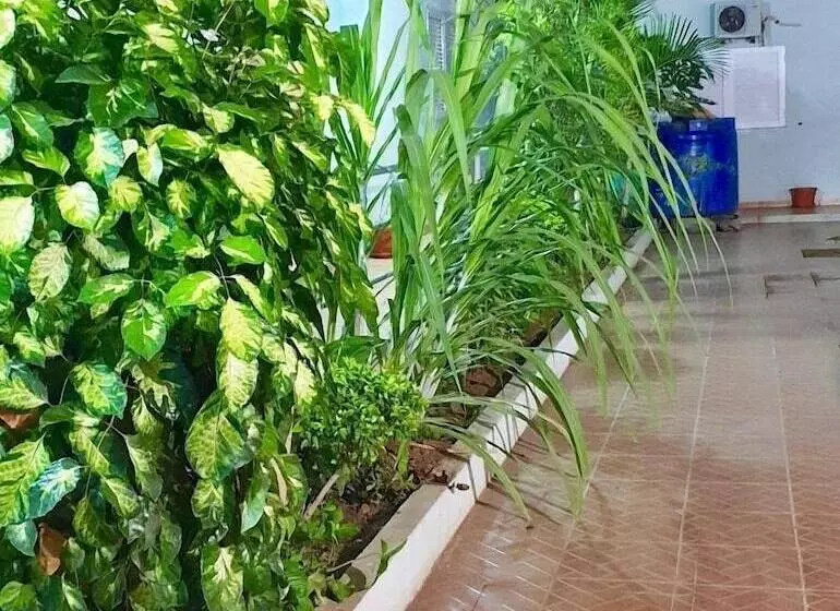 پانسیون Guest House Terezinha