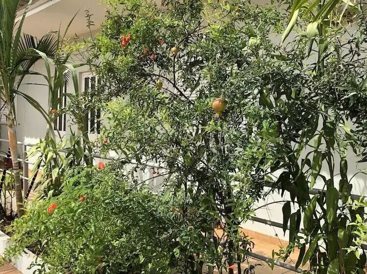 پانسیون Guest House Terezinha