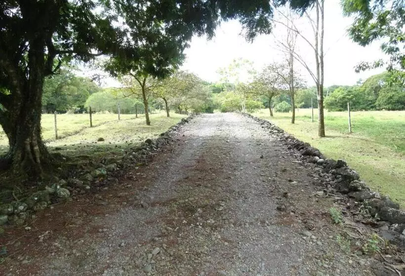 تختخواب و صبحانه Horquetas River Lodge