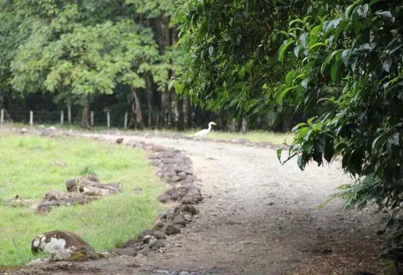 تختخواب و صبحانه Horquetas River Lodge