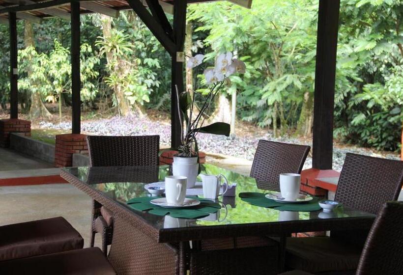 ベッドアンドブレックファースト Horquetas River Lodge