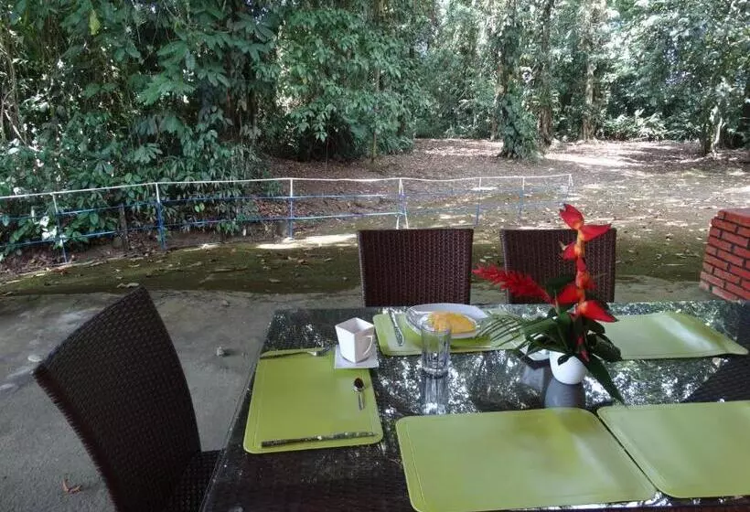 تختخواب و صبحانه Horquetas River Lodge