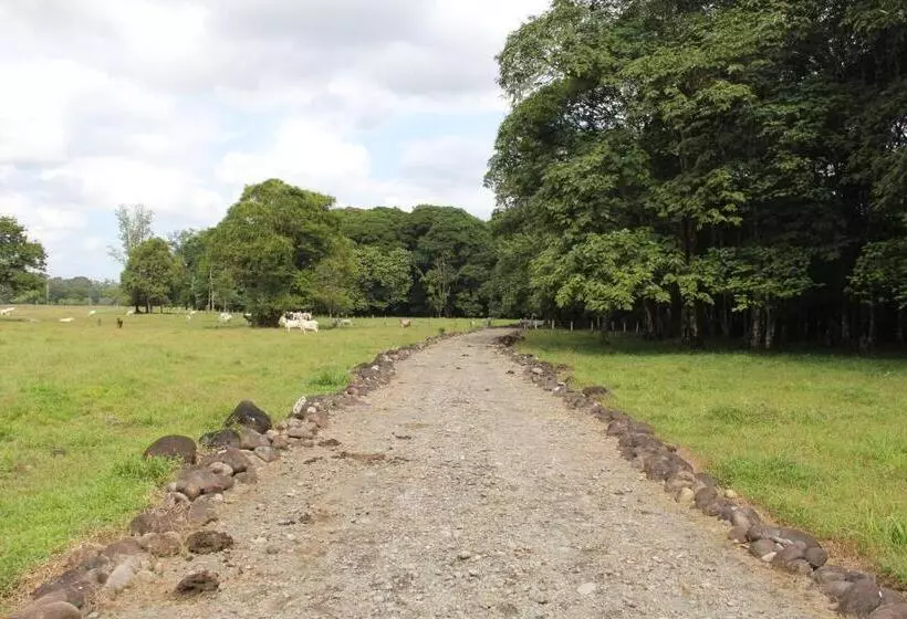 تختخواب و صبحانه Horquetas River Lodge