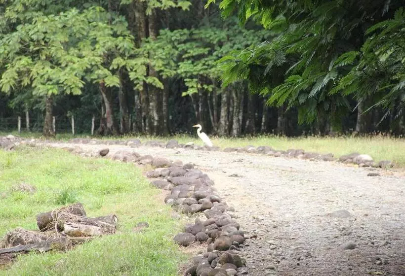 تختخواب و صبحانه Horquetas River Lodge