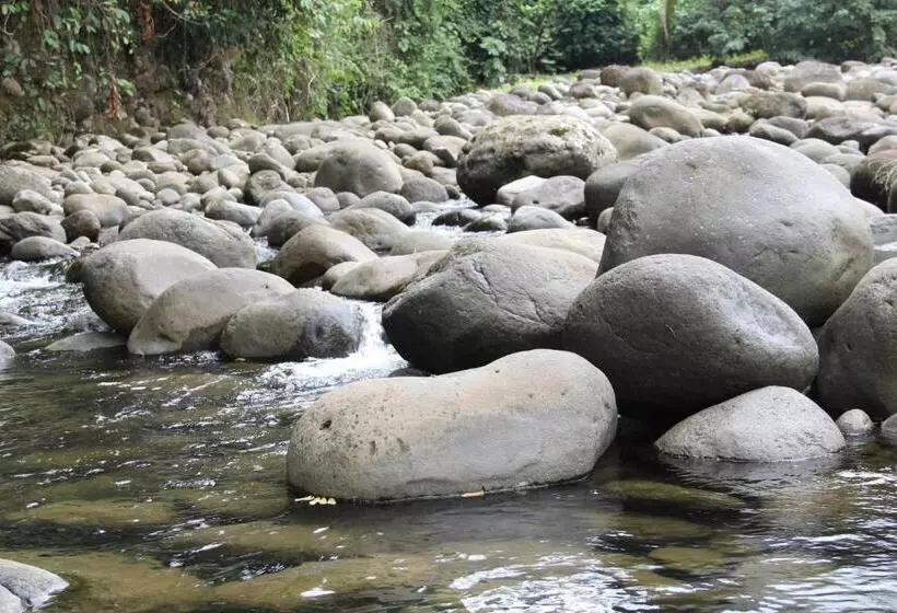 تختخواب و صبحانه Horquetas River Lodge