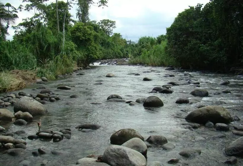 تختخواب و صبحانه Horquetas River Lodge