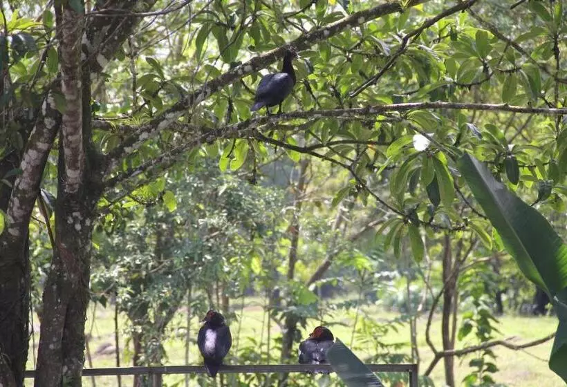 تختخواب و صبحانه Horquetas River Lodge