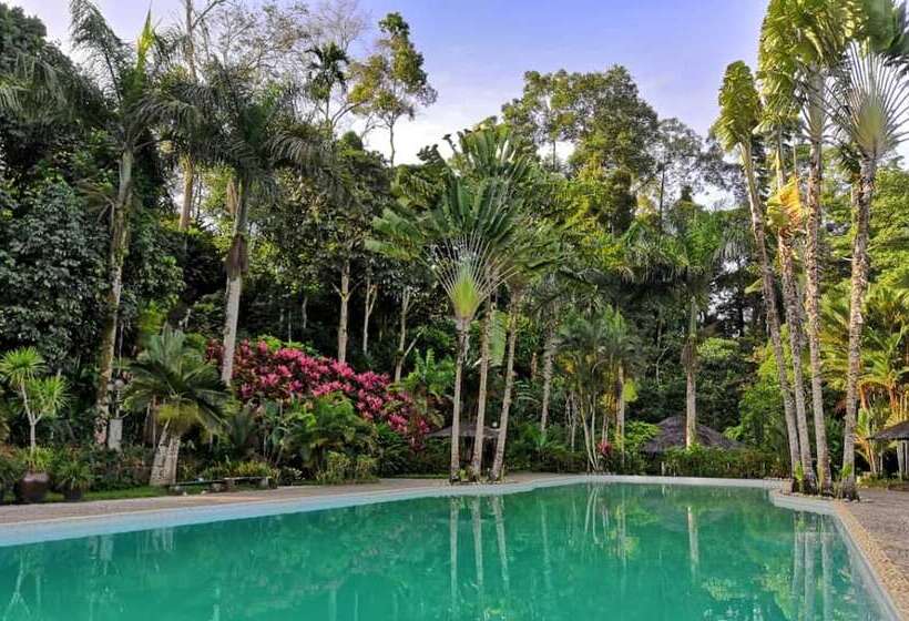 Balung River Eco Resort   Hostel