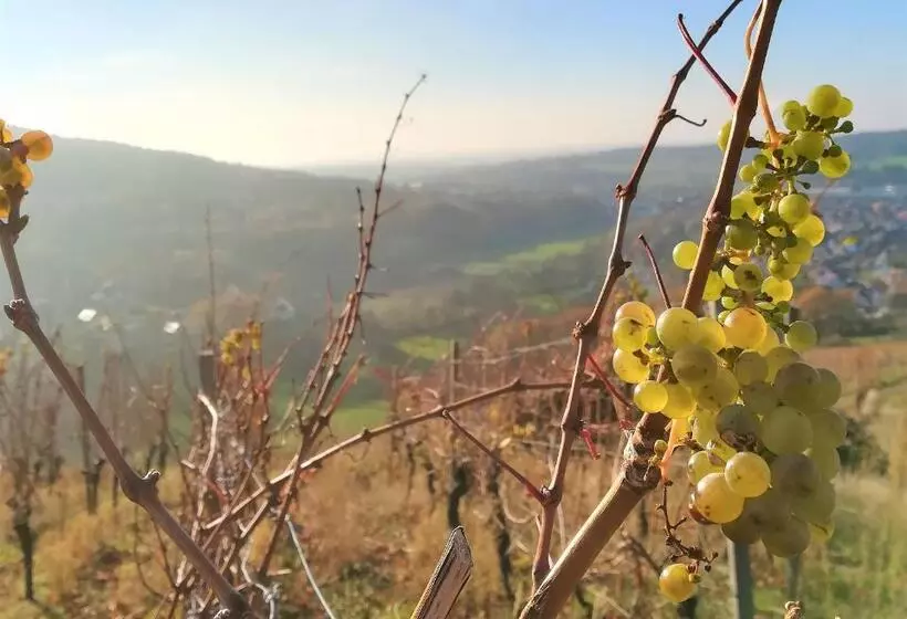 Hotelli Gasthaus Dörsthof