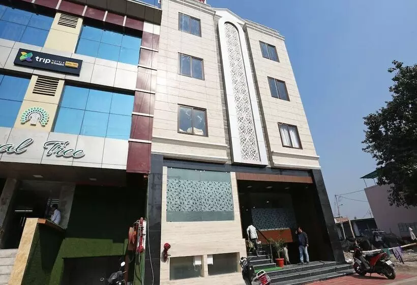 Capital O 26694 Hotel Anubhav