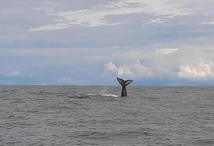 پانسیون Surf House Estilo Libre