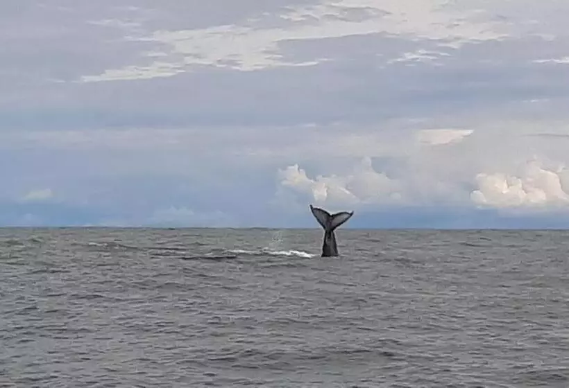 ペンション Surf House Estilo Libre