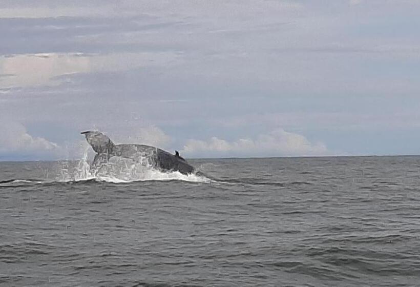 پانسیون Surf House Estilo Libre