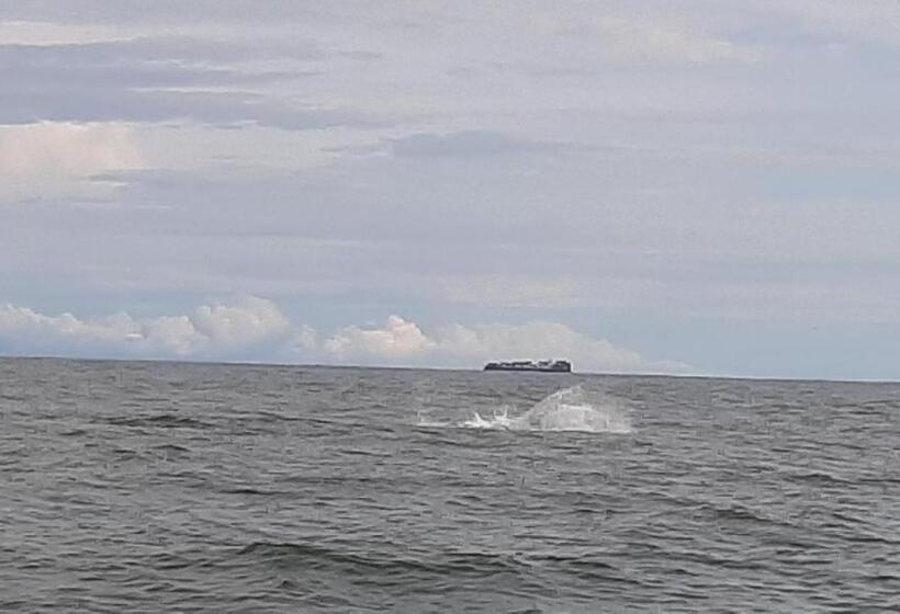 پانسیون Surf House Estilo Libre