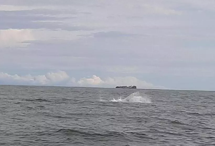 ペンション Surf House Estilo Libre