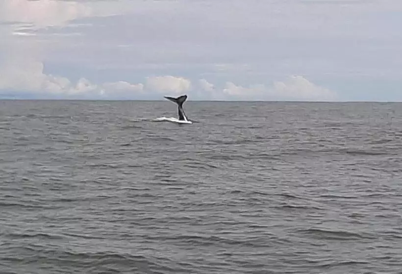 ペンション Surf House Estilo Libre