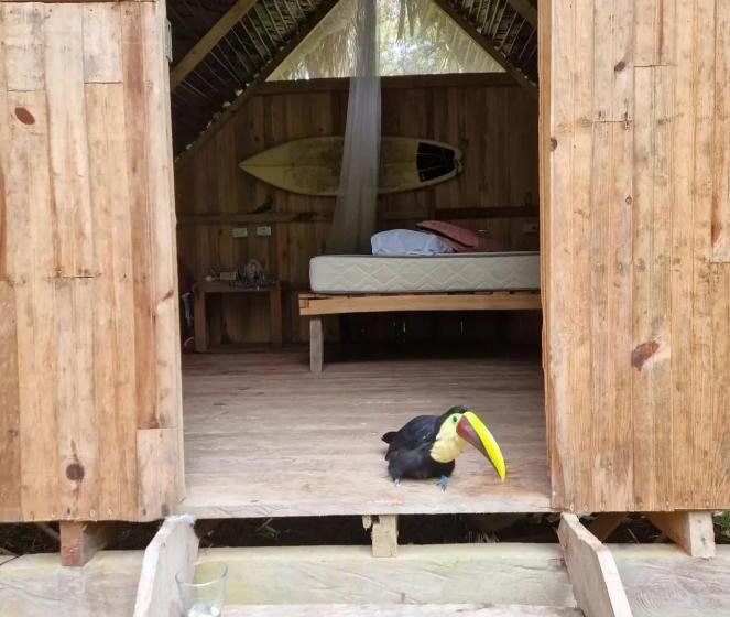 پانسیون Surf House Estilo Libre