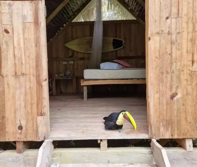 ペンション Surf House Estilo Libre