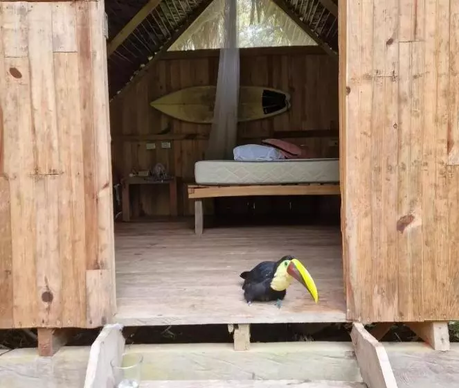 ペンション Surf House Estilo Libre