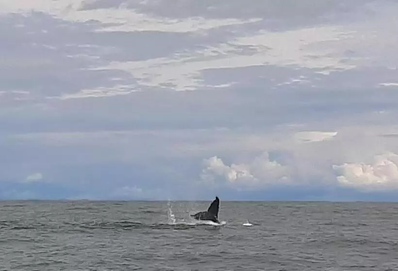 ペンション Surf House Estilo Libre