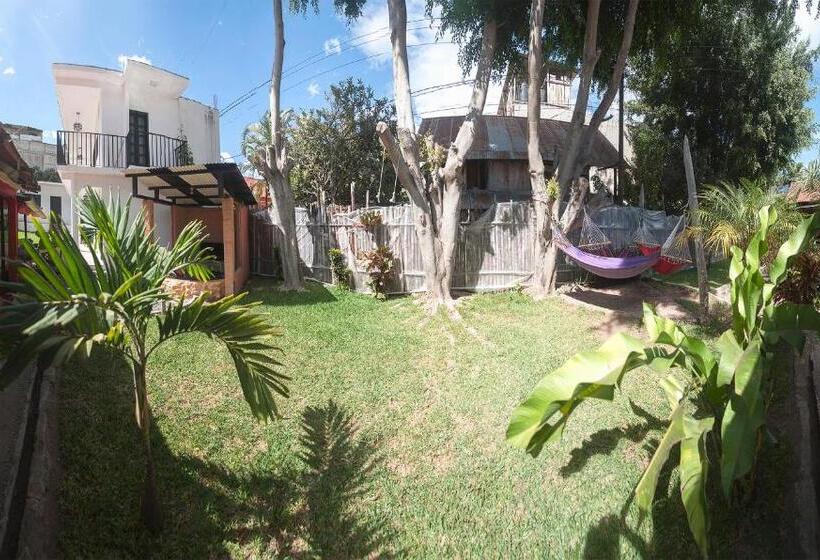 هاستل Zoola Resort San Pedro La Laguna