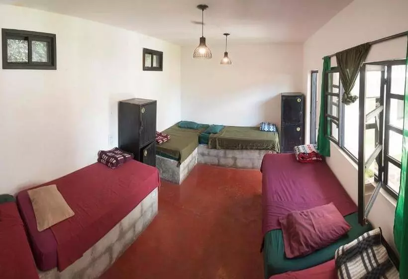 هاستل Zoola Resort San Pedro La Laguna