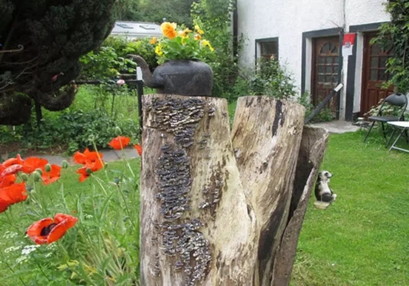 Aamiaismajoitus (B&B) Pond House