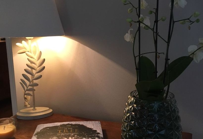 Aamiaismajoitus (B&B) Riverwood Strathtay