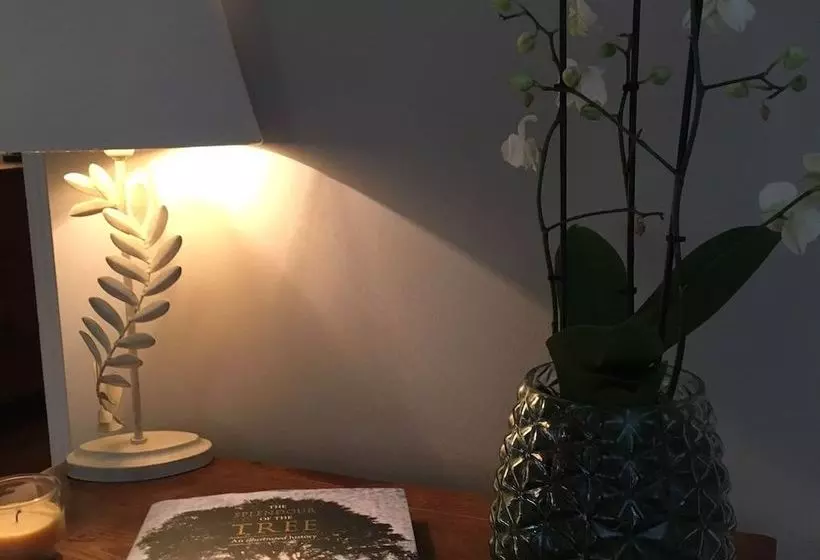 Aamiaismajoitus (B&B) Riverwood Strathtay