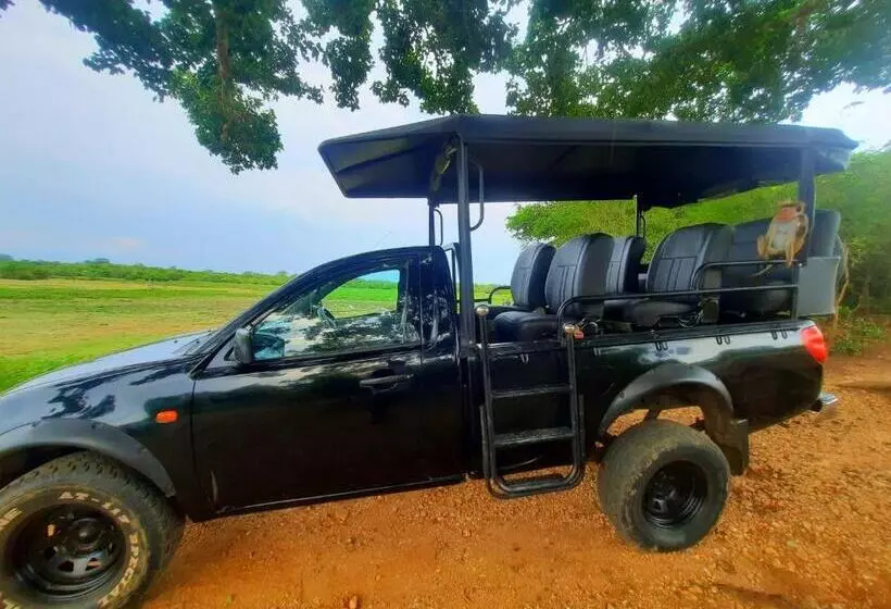 La Casa Safari Resort