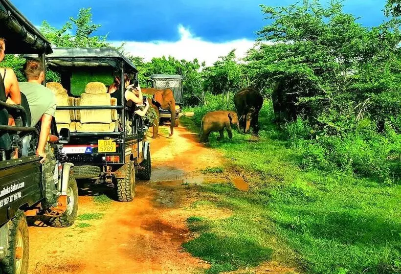 La Casa Safari Resort
