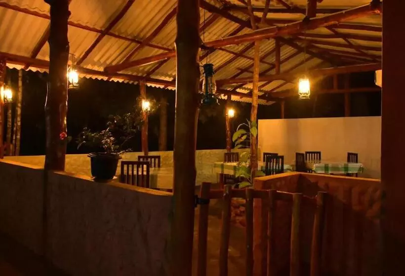 La Casa Safari Resort
