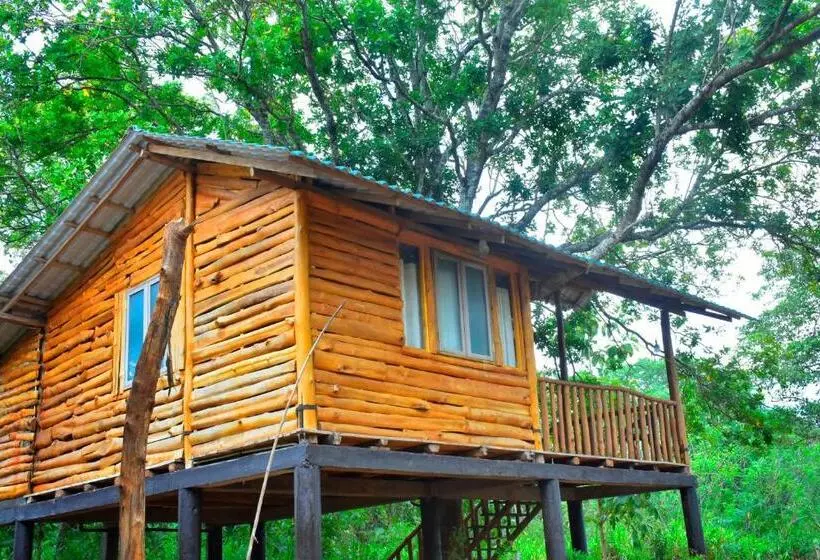 La Casa Safari Resort