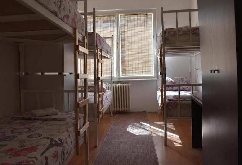 هاستل Exit Labirint Centar