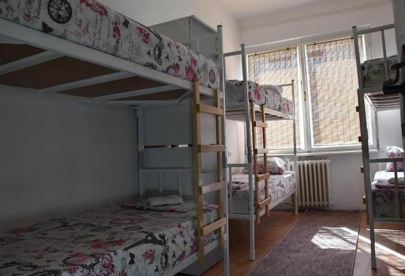 هاستل Exit Labirint Centar