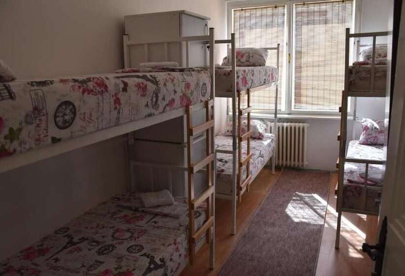 هاستل Exit Labirint Centar