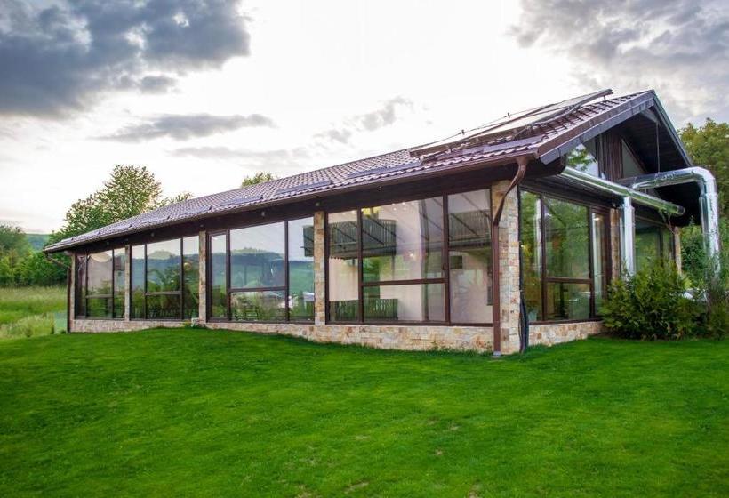 Пансион Residence Ghinita Bucovina