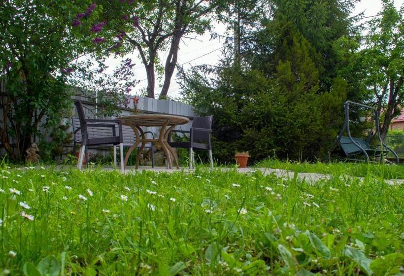 Пансион Residence Ghinita Bucovina