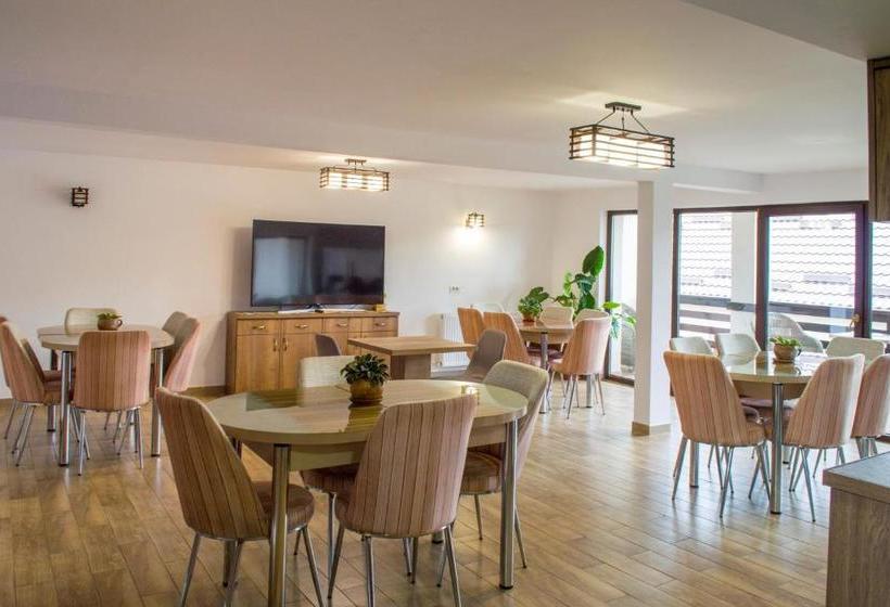 Пансион Residence Ghinita Bucovina