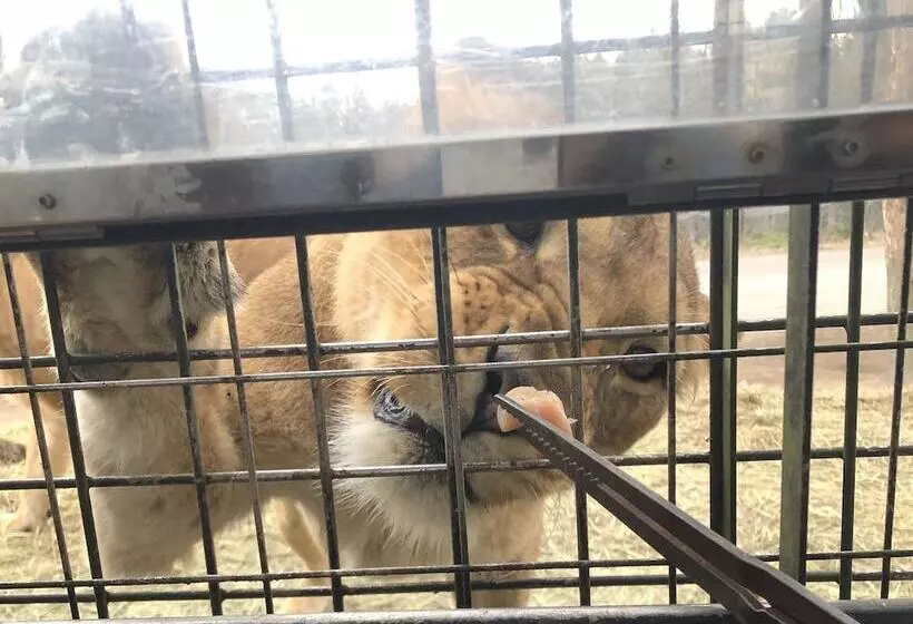 Majatalo Beppu Hostel U&t