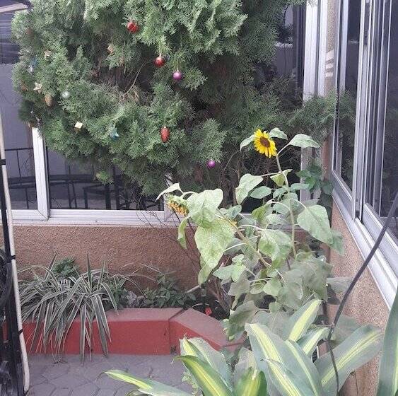 Alexander Plaza Hotel Ltd