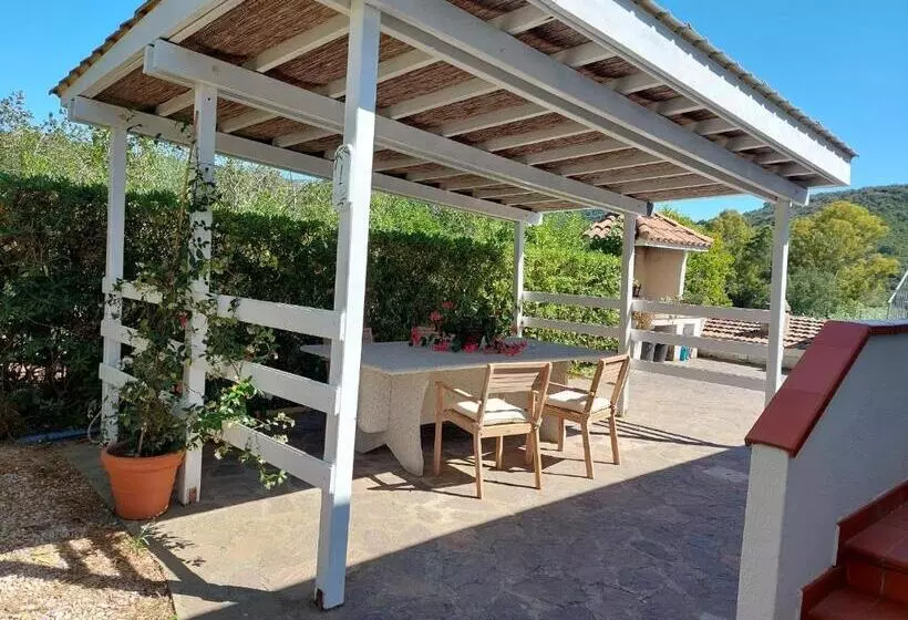 B&b La Casa Degli Ulivi