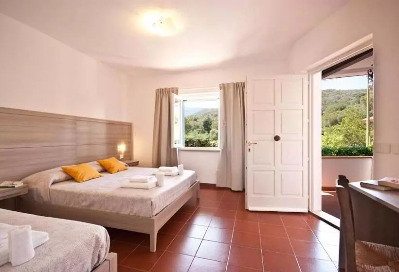 B&b La Casa Degli Ulivi